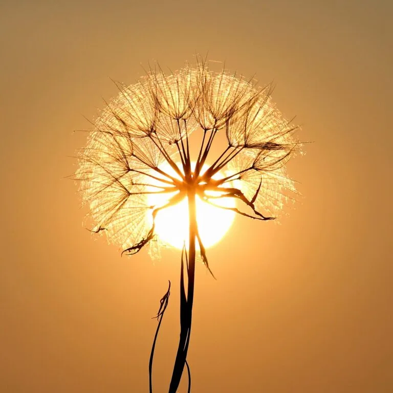 Trauma healing requires slow, gentle approaches