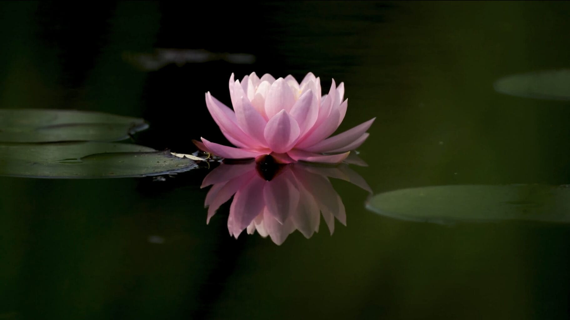 Mindfulness in therapy