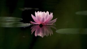 Mindfulness in therapy