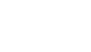 Bridges Mental Health directory logo